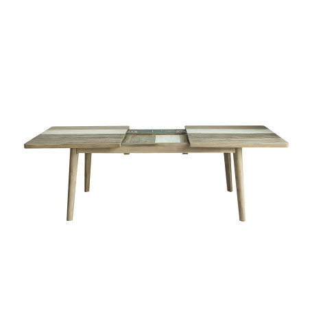 HECTOR-Table de séjour