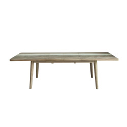 HECTOR-Table de séjour
