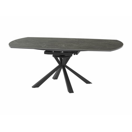 NEWCASTLE -Table de séjour - PIED STAR