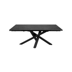 DARWIN-Table de séjour