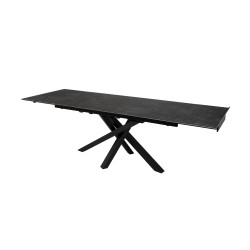 DARWIN-Table de séjour 2
