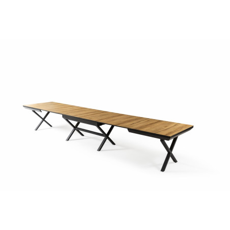 XXL - TABLE EXTENSIBLE RECTANGULAIRE 180 (6*50)