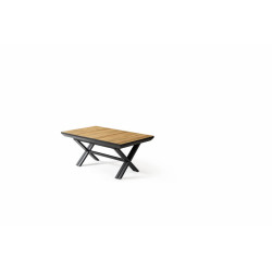 XXL - TABLE EXTENSIBLE RECTANGULAIRE 180 (6*50) 2