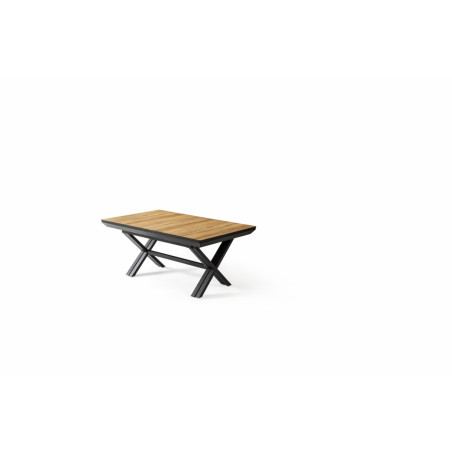XXL - TABLE EXTENSIBLE RECTANGULAIRE 180 (6*50)