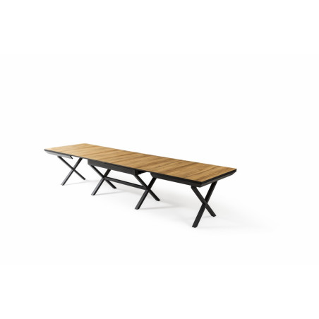 XXL - TABLE EXTENSIBLE RECTANGULAIRE 180 (6*50)