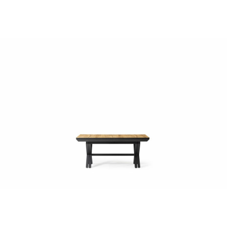 XXL - TABLE EXTENSIBLE RECTANGULAIRE 180 (6*50)