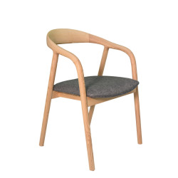 DIDIER-Chaise de séjour (lot de 2)