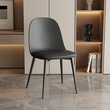 RAISA-Chaise de séjour (lot de 2)