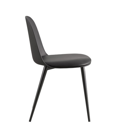 RAISA-Chaise de séjour (lot de 2)
