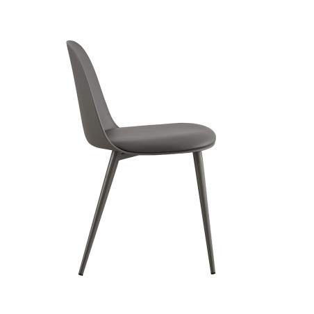 RAISA-Chaise de séjour (lot de 2)