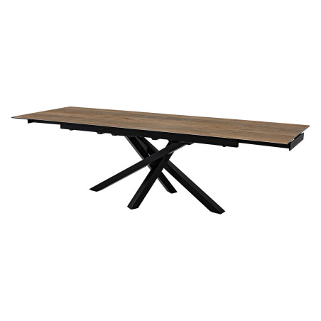 DARWIN-Table de séjour