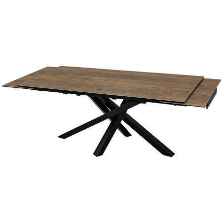 DARWIN-Table de séjour