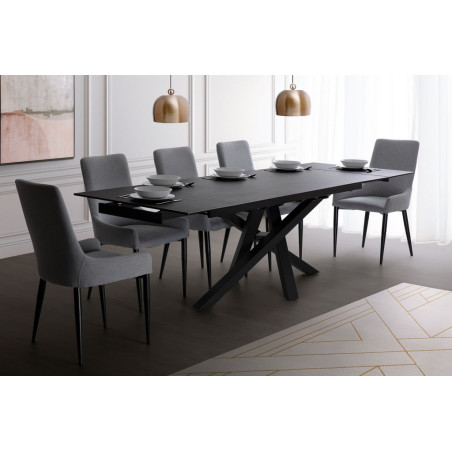 DARWIN-Table de séjour