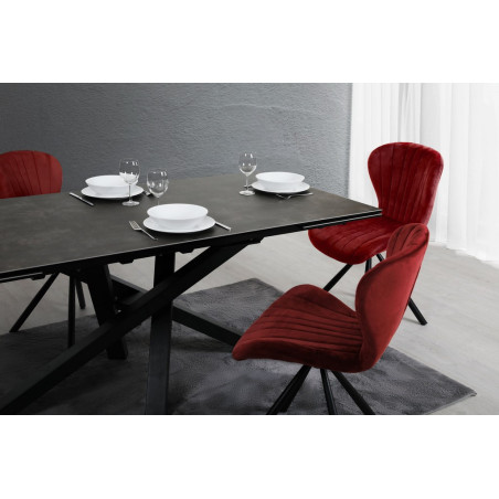 DARWIN-Table de séjour