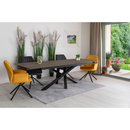 DARWIN-Table de séjour
